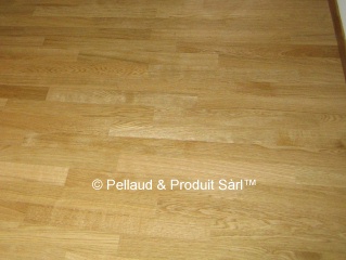 small product photo